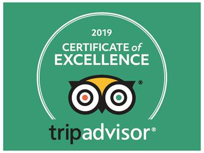 trip advisor logo